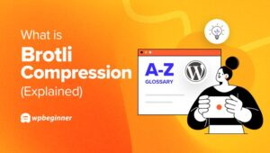 Gzip Vs  Brotli Compression For Website Velocity